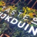 Daily Taste Food Court, Kijkduin Den Haag, Strand Den Haag, Strand Kijkduin, Winkelcentrum Kijkduin, Hotspot Den Haag, Hotspot Kijkduin, Winkelen in Kuikduin,
