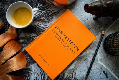 Review boek manifesteren + winactie Boekreview, Boek over manifesteren, Leren te manifesteren, Roxie Nafousi, Welke boeken over manifestern moet je lezen, Abraham Hicks,