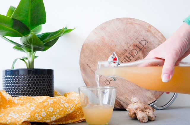 Gefermenteerde drank goed voor, Gefermenteerde drank maken, Gemberbier alcoholvrij, Gemberbier, gezond, Gemberbier maken fermenteren, Gemberbier maken met gemberbug, Gemberbier recept, Gemberdrankje, Ginger ale, Ginger ale maken, Ginger bug, Hoe fermenteer je gember, Hoe maak je zelf Gimber, Hoe maak je zelf Ginger Ale, Hoe wordt Ginger beer gemaakt, Hoeveel gember zit er in gemberbier, Probiotica, Recept ginger bug, Waar is Ginger Ale van gemaakt, Wat is Gemberbug, Zelf gemberbier maken, Zelf Ginger Ale maken, Zelf Gingerbug maken,