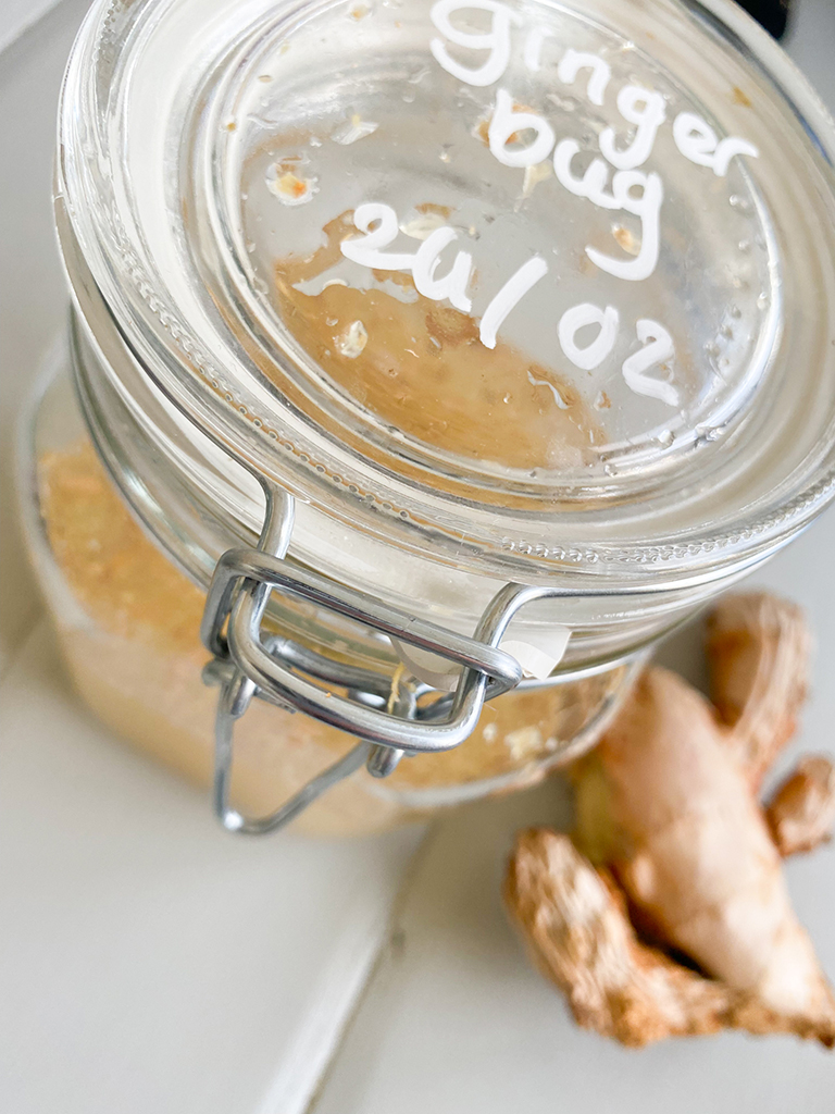 Gefermenteerde drank goed voor, Gefermenteerde drank maken, Gemberbier alcoholvrij, Gemberbier, gezond, Gemberbier maken fermenteren, Gemberbier maken met gemberbug, Gemberbier recept, Gemberdrankje, Ginger ale, Ginger ale maken, Ginger bug, Hoe fermenteer je gember, Hoe maak je zelf Gimber, Hoe maak je zelf Ginger Ale, Hoe wordt Ginger beer gemaakt, Hoeveel gember zit er in gemberbier, Probiotica, Recept ginger bug, Waar is Ginger Ale van gemaakt, Wat is Gemberbug, Zelf gemberbier maken, Zelf Ginger Ale maken, Zelf Gingerbug maken,