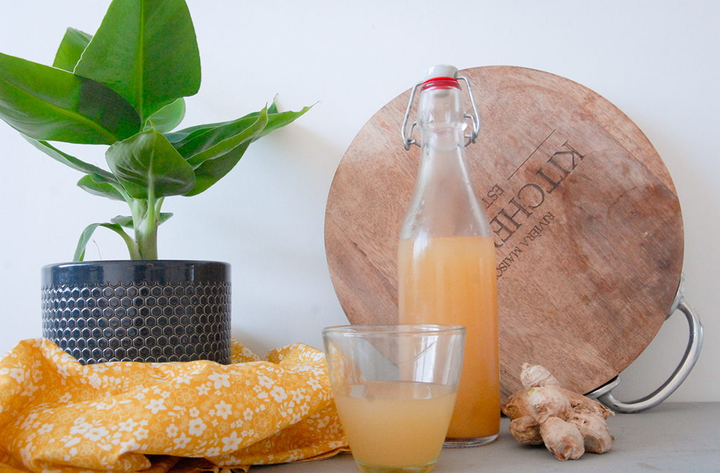 Gefermenteerde drank goed voor, Gefermenteerde drank maken, Gemberbier alcoholvrij, Gemberbier, gezond, Gemberbier maken fermenteren, Gemberbier maken met gemberbug, Gemberbier recept, Gemberdrankje, Ginger ale, Ginger ale maken, Ginger bug, Hoe fermenteer je gember, Hoe maak je zelf Gimber, Hoe maak je zelf Ginger Ale, Hoe wordt Ginger beer gemaakt, Hoeveel gember zit er in gemberbier, Probiotica, Recept ginger bug, Waar is Ginger Ale van gemaakt, Wat is Gemberbug, Zelf gemberbier maken, Zelf Ginger Ale maken, Zelf Gingerbug maken,