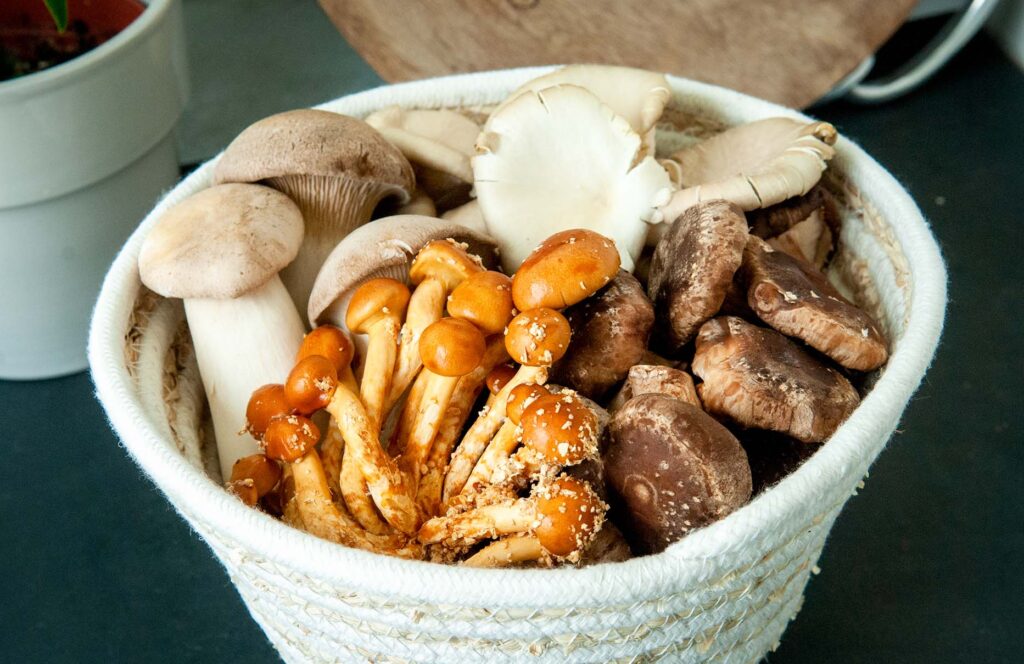 Recept, Gevulde venkel, Paddenstoelenstoof, Paddenstoelen met appel, Glutenvrij recept, Vegetarisch recept, Slanke recepten, Koolhydraatarme recepten, Zomerse recepten, Recepten met venkel, Exotische paddenstoelen, Stoof van paddenstoelen, Oakfield Paddenstoelen, Oakfield Champignons,